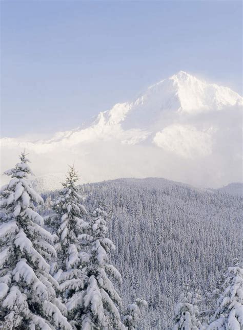 无人公园竖图室外白天正面旅游度假美景山树林雪雪山植物大雪美国阴影朦胧模糊光线影子冰积雪景观山峰