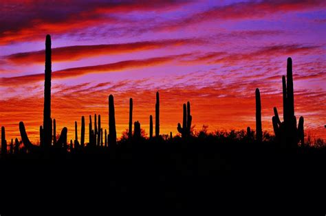 Tucson Arizona Sunset Photograph by Dennis Boyd - Fine Art America