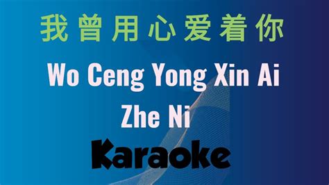 Wo Ceng Yong Xin Ai Zhe Ni Karaoke 我曾用心爱着你 Youtube