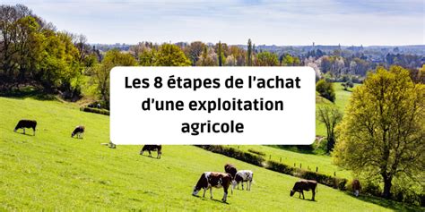 Les Tapes De Lachat Dune Exploitation Agricole Ma Propriete Fr