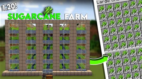 Minecraft Automatic Sugarcane Farm 121 How To Build Automatic