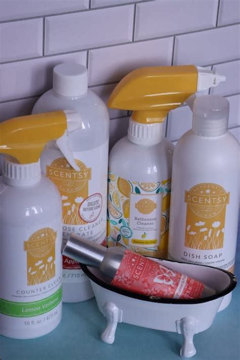 8 Allergy-Free Cleaning Products You Need To Start Using Now - Alison's ...