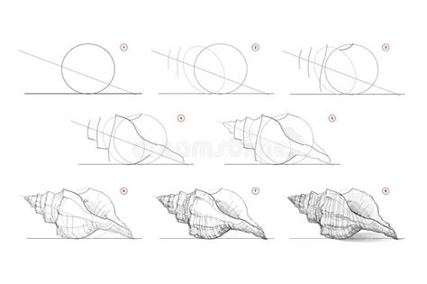 En La P Gina Se Muestra C Mo Aprender A Dibujar Un Boceto De La Concha