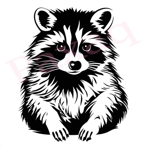 Raccoon Svg Cute Raccoon Vector Raccoon Vector Cutfile Png Pdf Svg