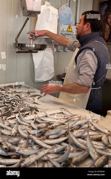 Weighing Sardines Hi Res Stock Photography And Images Alamy