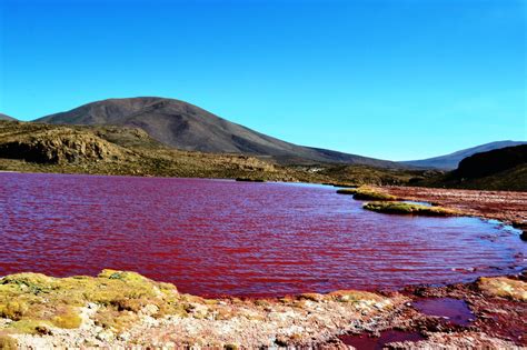 TOUR A LAGUNA ROJA - LA LEYENDA DE KUTA WILA - Desierto Verde ...
