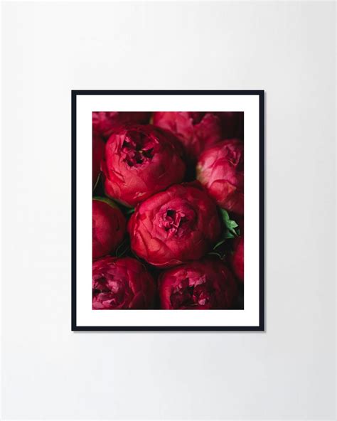 รูปภาพพร้อมกรอบแขวนผนัง Red Peony - PENNELLO
