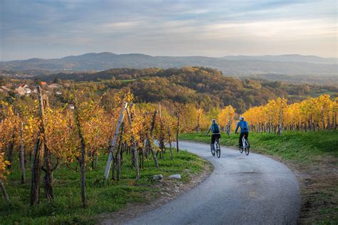 Dru Inske Kolesarske Poti Bela Krajina Glamping Kolpa Resort