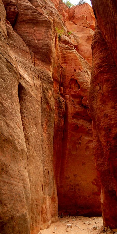 Red Hollow Slot Canyon Orderville Utah Here Red Hollow  Flickr