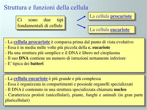 PPT Struttura E Funzioni Della Cellula PowerPoint Presentation Free