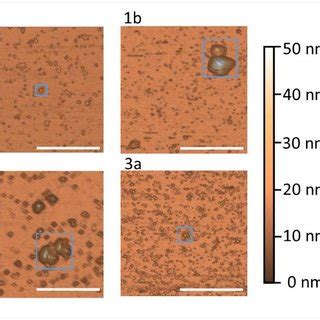 Large Scale M Scan Size Afm Images Were Obtained For The