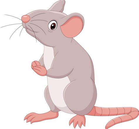 Rat N Feliz De Dibujos Animados Sobre Fondo Blanco Vector Premium