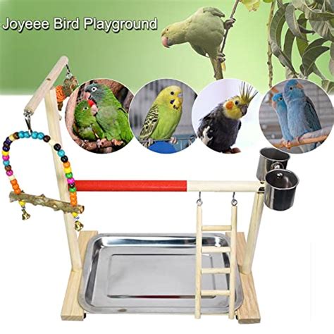 Joyeee Aire De Jeu Pour Perroquet Plateforme En Bois Pour Oiseaux