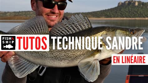 Tuto Technique Pêche Du Sandre En Linéaire