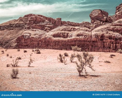 Panorama Dal Deserto Roccioso Di Wadi Rum In Giordania Paesaggio