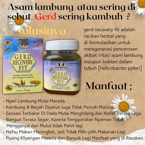 Jual GERD RECOVERY FIT Herbal Lambung Original Obat Tradisional