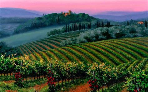 Tuscan Vineyard Wallpapers - 4k, HD Tuscan Vineyard Backgrounds on ...