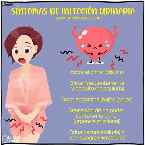 Infección urinaria en la mujer síntomas tratamiento y prevención