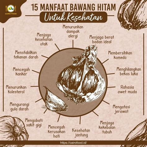 Manfaat Bawang Hitam Untuk Kesehatan Cairo Food