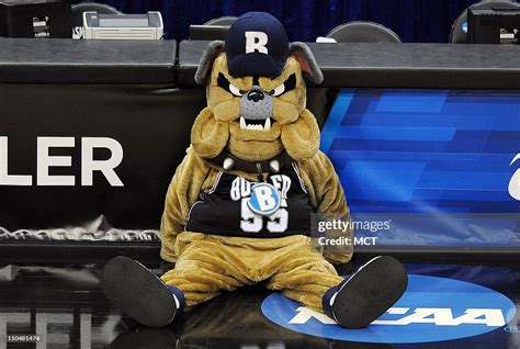 The Butler Bulldog mascot, "Hink," sits court side before the Butler ...