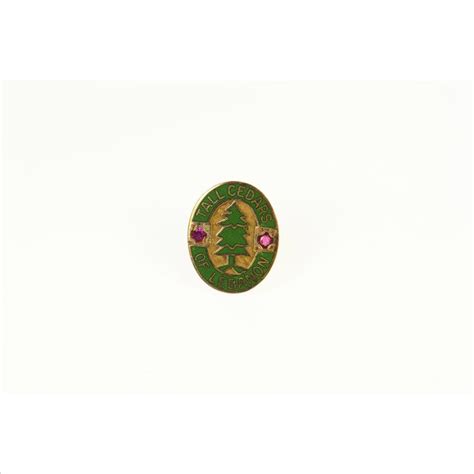 14K Tall Cedars Of Lebanon Enamel Masonic Lapel Yellow Gold Pin Brooch