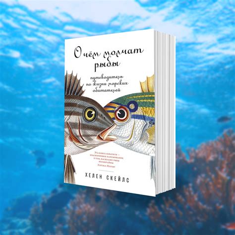 Воды мира: 5 книг про океан и его обитателей / Лента / Альпина нон-фикшн