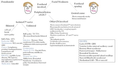 Bilateral Facial Nerve Palsy