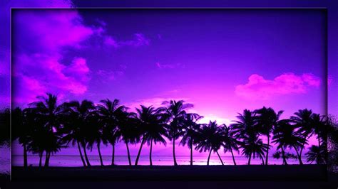 Purple Palm Trees Hd Wallpapers Wallpaper Cave