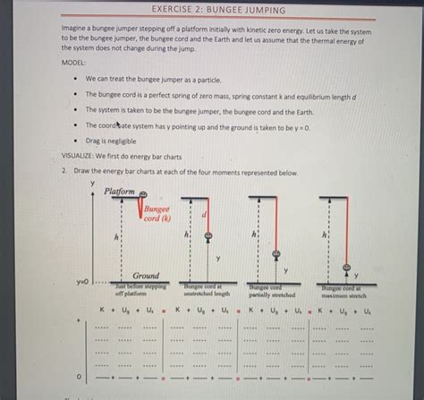 Solved EXERCISE 2 BUNGEE JUMPING Imagine A Bungee Jumper Chegg