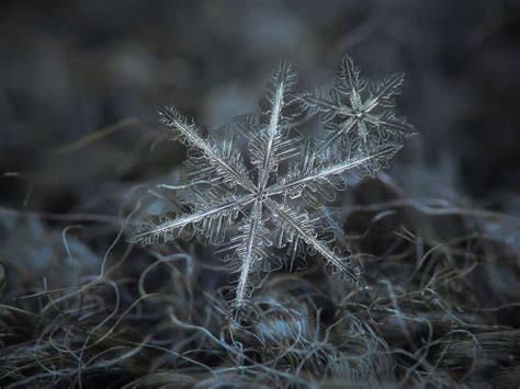 29 Incredible Close Ups Of Snowflakes Shot With A Homemade Camera Rig