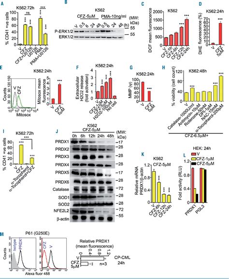 Figure 2 From Leprosy Drug Clofazimine Activates Peroxisome