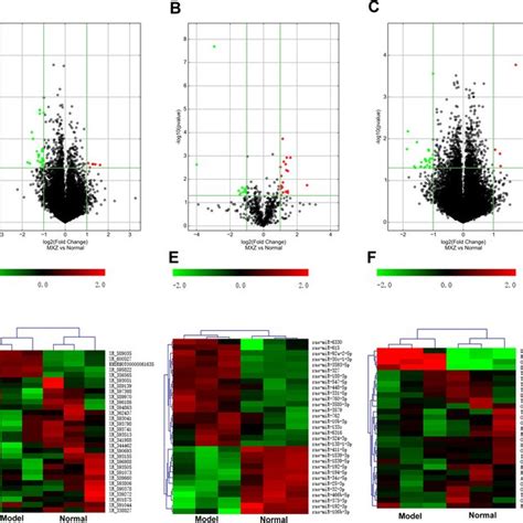 The Differentially Expressed Lncrnas Mirnas And Mrnas Between The