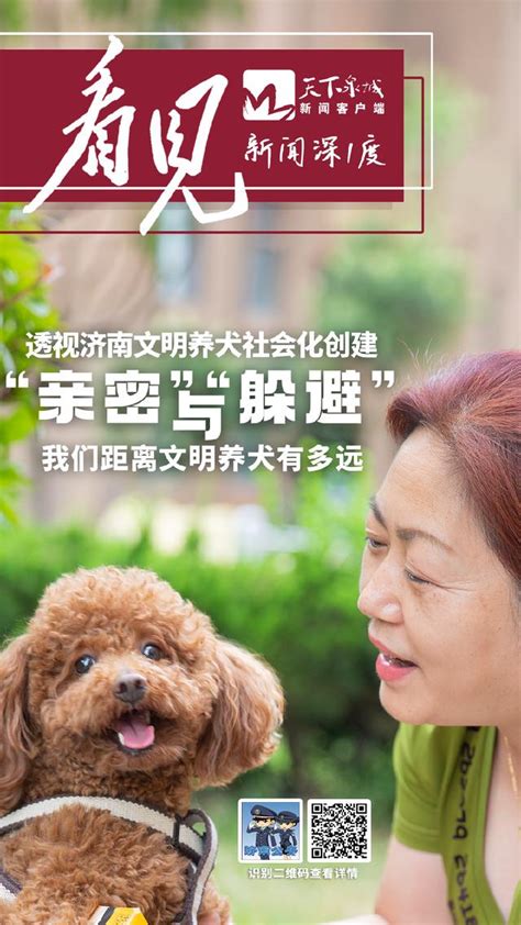 文明養犬 警民共建丨「親密」與「躲避」 我們距離文明養犬有多遠？ 每日頭條