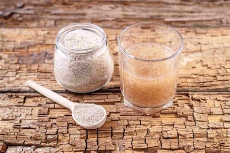 Psyllium Para Emagrecer O Que E Como A Fibra Funciona No Organismo