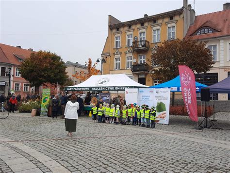 W Gnie Nie Rozdaj Drzewka Za Makulatur Radio Pozna