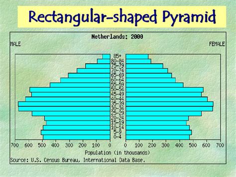 Ppt Population Pyramids Powerpoint Presentation Id211380