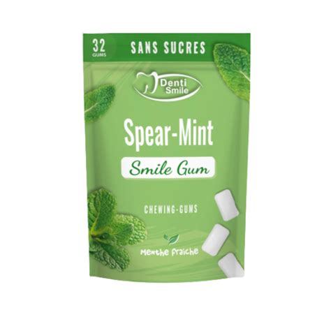 Smile Gum Chewing Gums Fresh Mint 32 Tablets Pharmacie En