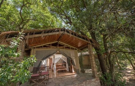 Fig Tree Camp Masai Mara Rates Prices Contacts For Booking