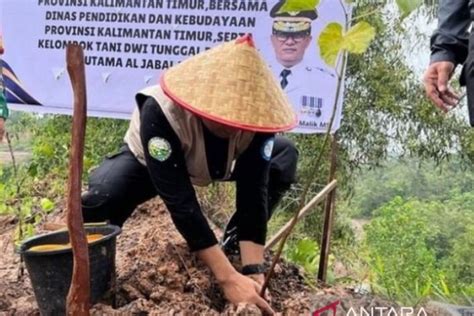 Pj Gubernur Kaltim Tanam Pohon Di Lahan Kritis Bekas Tambang Antara