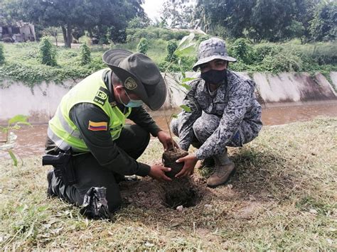 200 Árboles fueron sembrados en Sabanagrande Fuerza Aérea Colombiana