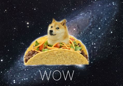 Doge background ·① Download free cool wallpapers for desktop and mobile devices in any ...