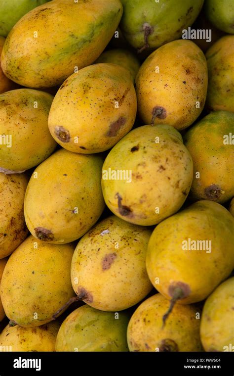 Yellow Mangoes Stock Photo Alamy