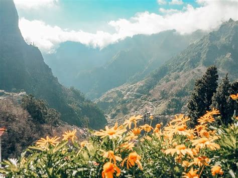 How To Spend A Week In Madeira Day Itinerary Artofit