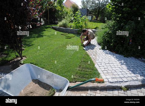 Laying sod, cutting sod-pieces Stock Photo - Alamy