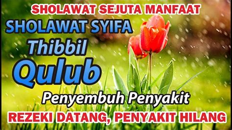 Sholawat Nabi Merdu Thibbil Qulub Sholawat Syifa Penenang Hati B T