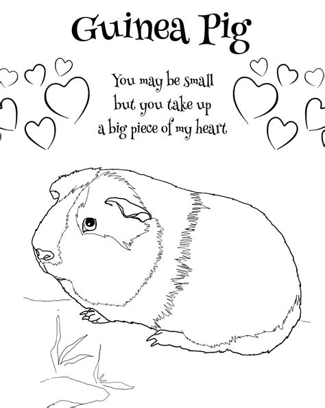 Guinea Pig Coloring Pages – Printable Coloring Pages