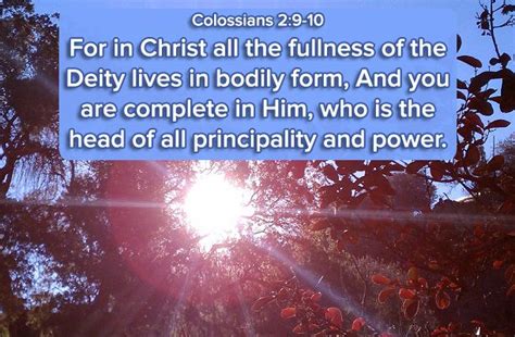 Colossians 29 10 Bible Scriptures Colossians Bible Verses