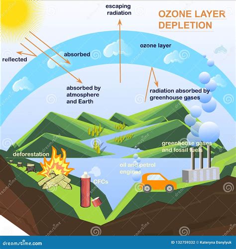 Ozone Cycle