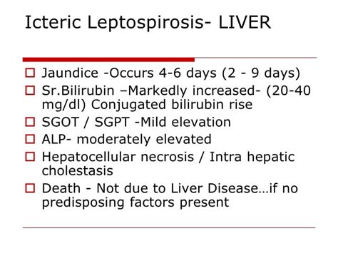 Leptospirosis