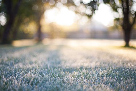 Tips For Proper Lawn Care For Winter Home Matters Ahs